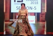 Saranya Anand at KFL 2018 (5)