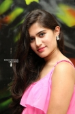 Tara Chowdary at Elite New Year Eve 2019 Ticket Launch (8)