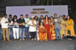 divyamani audio launch stills (45)